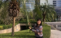 2019国产品在线视频